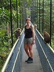 TreeTop Walk, MacRitchie Reservoir Park