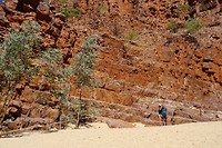 Pound Walk, Ormiston Gorge