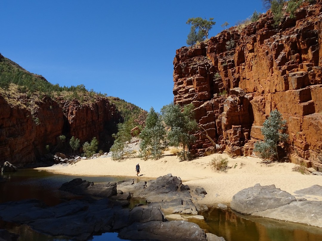 Pound Walk, Ormiston Gorge (2)