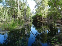 Bitter Springs, Mataranka