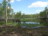 Tabletop Swamp, Litchfield National Park