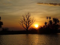 Coorboree Billabong