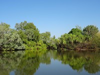 Yellow Water, Kakadu NP