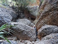 Smal 'wandelpad' in de Mini Palm Gorge, Purnululu NP