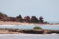 Kusterosie Broome Bird Observatory