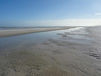 Eighty Mile Beach