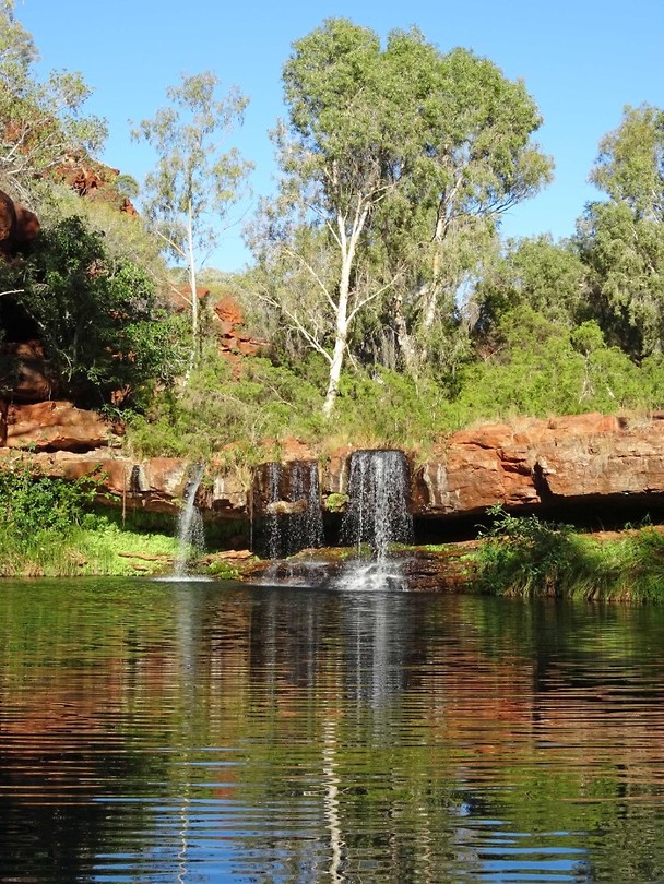 Fern Pool, Karijini NP