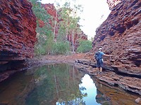 Weano Gorge, Karijini NP