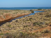 Yardie Creek, Cape Range NP