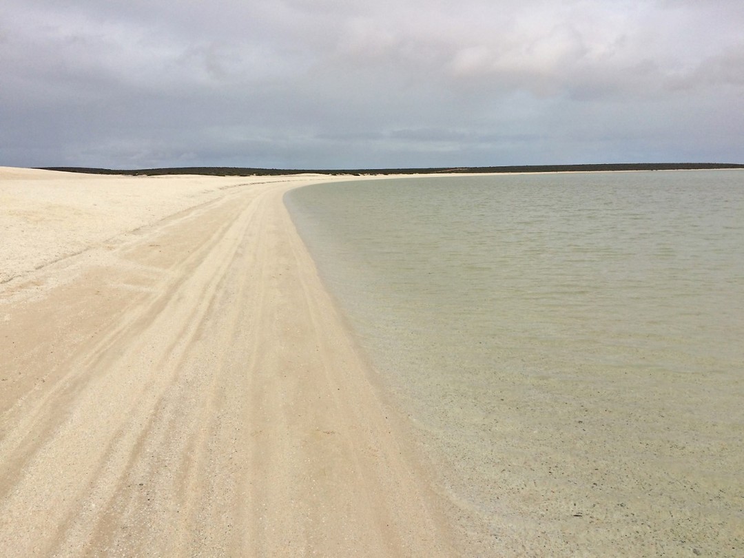 Shell Beach, Shark Bay