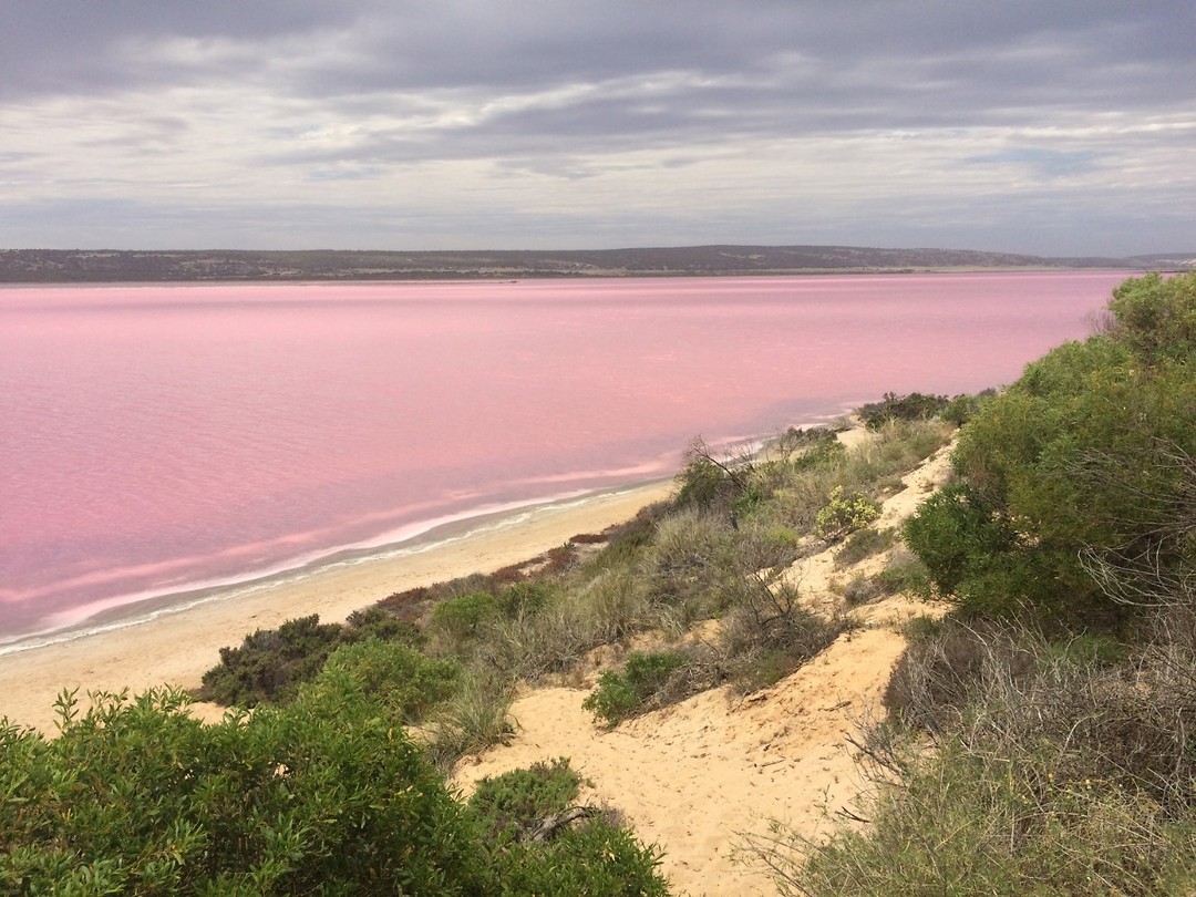 Hutt Lagoon (Pink Lake), Port Gregory