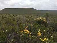 Lesuer NP