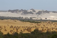 Nambung NP (1)