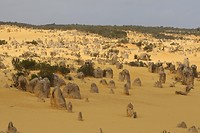 Nambung NP (2)