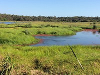 Yanchep NP