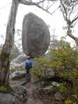Granite Skywalk, Porongurup NP
