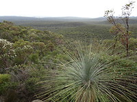 Eastern Lookout, Stirling Range NP