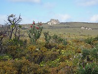 Waichinicup NP