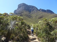 Bluff Knoll, Stirling Range NP (2)