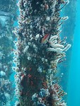 Underwater Observatory Busselton