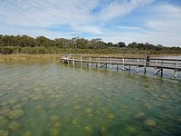Thrombolieten, Lake Clifton, Yalgorup NP