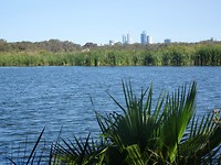Herdsman Lake