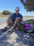 Quokka's op onze lunchplek, Rottnest