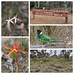 Cranbrook Wildflower Walk