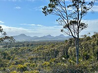 Sukey Hill Lookout