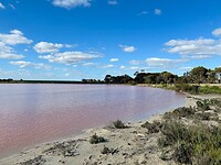 Pink Lake Cranbrook