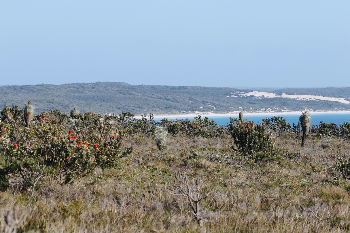 Cheynes Beach