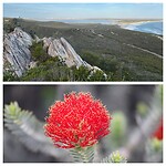 Barren’s Lookout