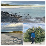 Collage Yokinup Bay