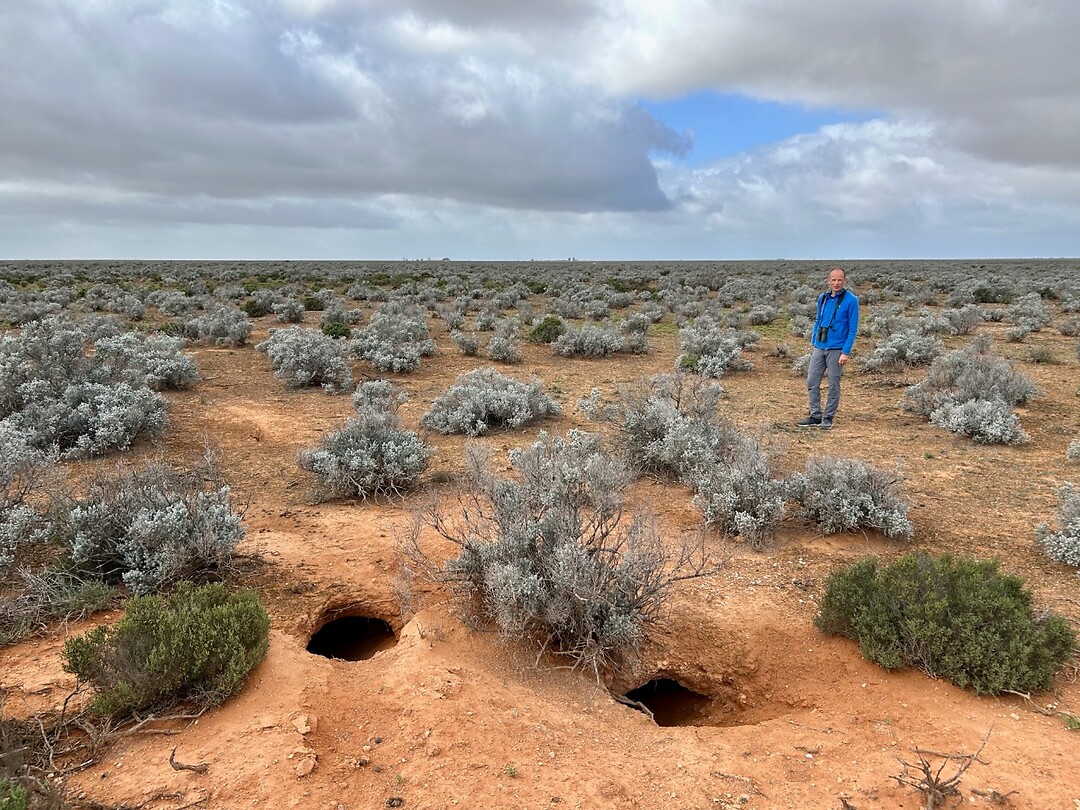 Nullarbor