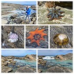 Greenly Beach Rock Pools