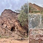 Brachina Gorge