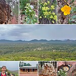Wilpena Pound