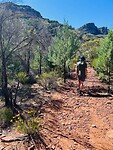 Arkaroo Rock Hike
