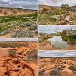 Red Banks Conservation Park