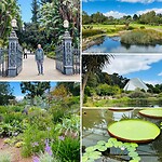 Adelaide Botanical Gardens