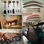 South Australian Museum