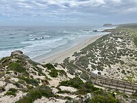 Seal Bay
