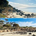 Brown Beach