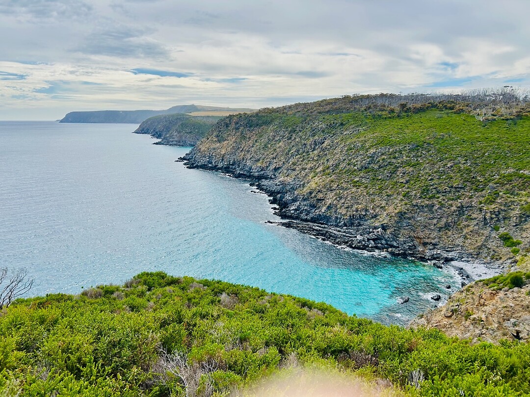 Scott Cove