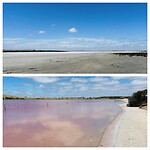Pink Lakes in Coorong National Park
