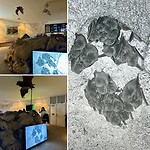 Bat Observation Centre