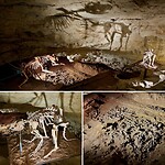 Victoria Fossil Cave