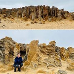 'Petrified Forrest' Cape Brisgewater