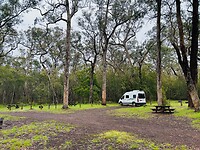 Jackass Fern Gully Campsite in Cobboboonee National Park