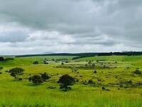 Harman’s Valley Lookout met uitzicht op Mount Napier
